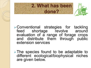 Where do Different Feed Options Fit - Biophysical niches in Ethiopia 