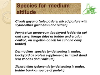 Where do Different Feed Options Fit - Biophysical niches in Ethiopia 