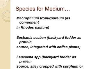 Where do Different Feed Options Fit - Biophysical niches in Ethiopia 