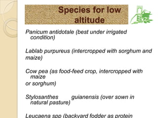 Where do Different Feed Options Fit - Biophysical niches in Ethiopia 