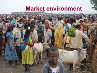 Sustainable intensification in livestock systems: where does feed fit?