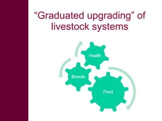 Sustainable intensification in livestock systems: where does feed fit?