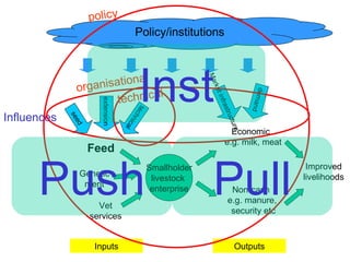Sustainable intensification in livestock systems: where does feed fit?