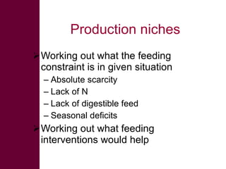 Sustainable intensification in livestock systems: where does feed fit?