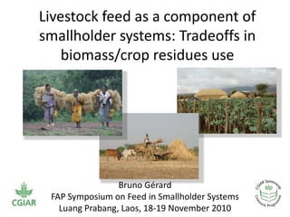 Livestock feed as a component of smallholder systems: Tradeoffs in biomass/crop residues use Bruno Gérard FAP Symposium on Feed in Smallholder Systems  LuangPrabang, Laos, 18-19 November 2010 