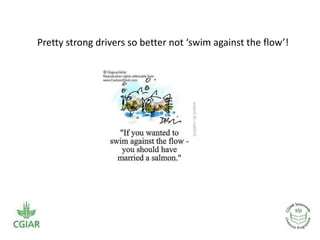 Livestock feed as a component of smallholder systems: Tradeoffs in biomass/crop residues use