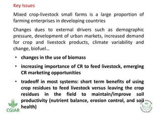 Livestock feed as a component of smallholder systems: Tradeoffs in biomass/crop residues use