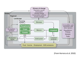 Livestock feed as a component of smallholder systems: Tradeoffs in biomass/crop residues use