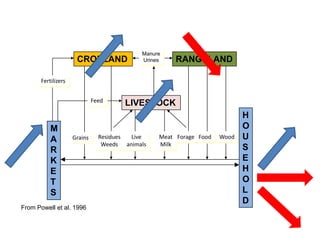 Livestock feed as a component of smallholder systems: Tradeoffs in biomass/crop residues use
