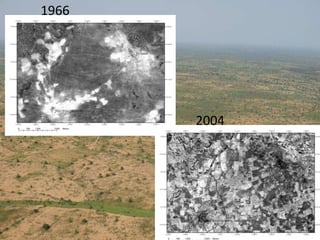 Livestock feed as a component of smallholder systems: Tradeoffs in biomass/crop residues use
