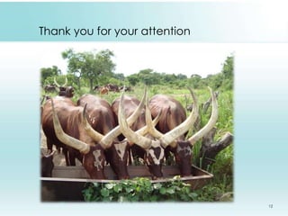 Supplementary/compounded feeding in Kenyan and Indian dairy systems – why so little? 