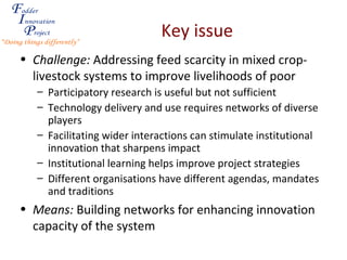 Fodder Innovation in smallholder systems: Experiences from the Fodder Innovation Project