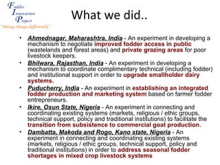 Fodder Innovation in smallholder systems: Experiences from the Fodder Innovation Project