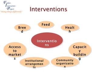 Fodder Innovation in smallholder systems: Experiences from the Fodder Innovation Project