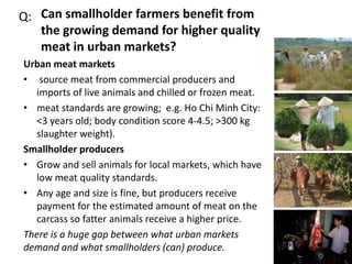 Linking fodder to livestock markets in Vietnam – the Ea Kar experience