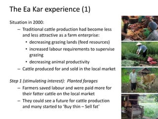 Linking fodder to livestock markets in Vietnam – the Ea Kar experience