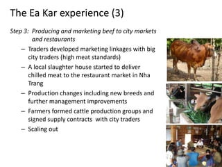 Linking fodder to livestock markets in Vietnam – the Ea Kar experience