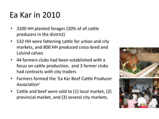Linking fodder to livestock markets in Vietnam – the Ea Kar experience