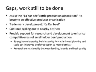 Linking fodder to livestock markets in Vietnam – the Ea Kar experience