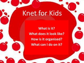 Knet for Kids What is it? What does it look like? How is it organised? What can I do on it? 