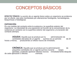 CONCEPTOS BÁSICOS
EFECTO TÓXICO: La acción de un agente tóxico sobre un organismo se evidencia
por un efecto, sea este manifestado por alteraciones fisiológicas, hematológicas,
bioquímicas o histológicas
EXPOSICIÓN:
Es una medida del contacto entre la sustancia y la superficie exterior del
organismo. La intensidad de una exposición es función de la concentración de la
sustancia en contacto con la superficie exterior del organismo y la duración del
contacto (tiempo).
AGUDA: Aquella que se produce por la administración de
cantidades elevadas de un agente químico en un período de 24
horas o menos, produciendo un efecto nocivo de inmediato.
CRÓNICA: Aquella que se produce por la administración de
pequeñas cantidades de un agente químico durante largos
períodos, pudiendo aparecer efectos nocivos inmediatamente después
de cada aplicación o efectos crónicos.
 