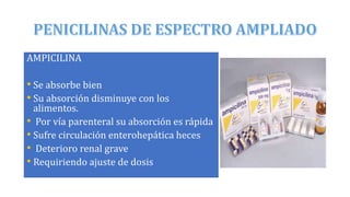 AMPICILINA
• Se absorbe bien
• Su absorción disminuye con los
alimentos.
• Por vía parenteral su absorción es rápida
• Sufre circulación enterohepática heces
• Deterioro renal grave
• Requiriendo ajuste de dosis
 