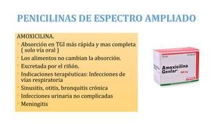 AMOXICILINA.
• Absorción en TGI más rápida y mas completa
( solo vía oral )
• Los alimentos no cambian la absorción.
• Excretada por el riñón.
• Indicaciones terapéuticas: Infecciones de
vías respiratoria
• Sinusitis, otitis, bronquitis crónica
• Infecciones urinaria no complicadas
• Meningitis
 