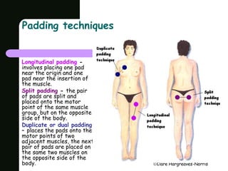 Clare Hargreaves-Norris 
Padding techniques 
Longitudinal padding - 
involves placing one pad 
near the origin and one 
pad near the insertion of 
the muscle. 
Split padding - the pair 
of pads are split and 
placed onto the motor 
point of the same muscle 
group, but on the opposite 
side of the body. 
Duplicate or dual padding 
– places the pads onto the 
motor points of two 
adjacent muscles, the next 
pair of pads are placed on 
the same two muscles on 
the opposite side of the 
body. 
 