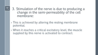 3. Stimulation of the nerve is due to producing a
change in the semi-permeability of the cell
membrane:
› This is achieved by altering the resting membrane
potential.
› When it reaches a critical excitatory level, the muscle
supplied by this nerve is activated to contract.
 