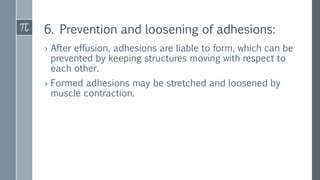 6. Prevention and loosening of adhesions:
› After effusion, adhesions are liable to form, which can be
prevented by keeping structures moving with respect to
each other.
› Formed adhesions may be stretched and loosened by
muscle contraction.
 