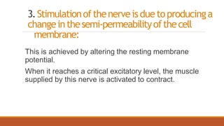 3.Stimulationofthenerveisduetoproducinga
changeinthesemi-permeabilityofthecell
membrane:
This is achieved by altering the resting membrane
potential.
When it reaches a critical excitatory level, the muscle
supplied by this nerve is activated to contract.
 