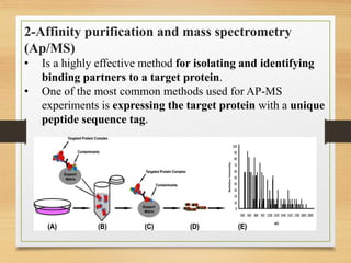 2-Affinity purification and mass spectrometry
(Ap/MS)
• Is a highly effective method for isolating and identifying
binding partners to a target protein.
• One of the most common methods used for AP-MS
experiments is expressing the target protein with a unique
peptide sequence tag.
 