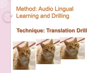 Method: Audio Lingual
Learning and Drilling
Technique: Translation Drill
 