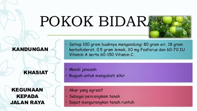 Farah nuralissa binti muhammad