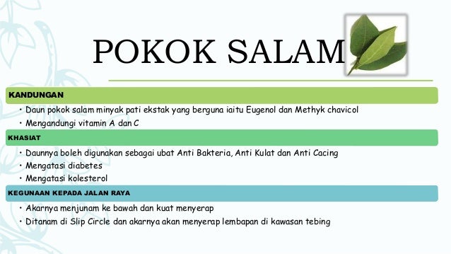 Farah nuralissa binti muhammad