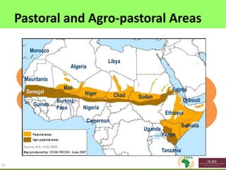 Delivering impact from African animal agriculture: The agriculture-mining conundrum of grass or brass; bread or stones