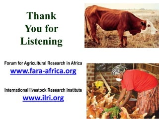 Delivering impact from African animal agriculture: The agriculture-mining conundrum of grass or brass; bread or stones