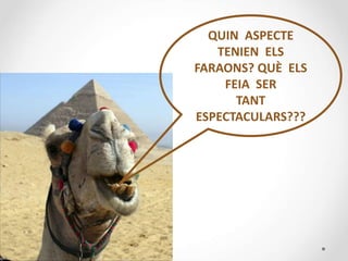 QUIN ASPECTE
TENIEN ELS
FARAONS? QUÈ ELS
FEIA SER
TANT
ESPECTACULARS???
 