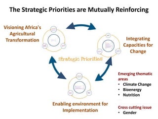 The Strategic Priorities are Mutually Reinforcing
Visioning Africa's
Agricultural
Transformation
Enabling environment for
Implementation
Integrating
Capacities for
Change
Emerging thematic
areas
• Climate Change
• Bioenergy
• Nutrition
Cross cutting issue
• Gender