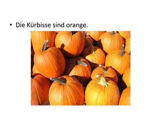 • Die Kürbisse sind orange.
 