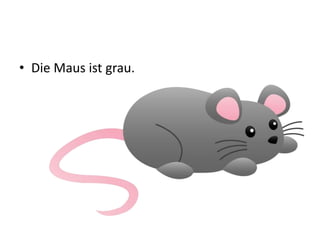 • Die Maus ist grau.
 