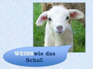 ROTBRAUN wie das
Eichhörnchen.
 