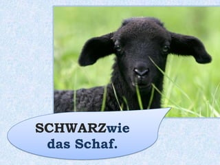 Das Eichhörnchen
ist ___________.rotbraun
 