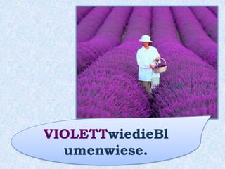 Das Meer ist ______ .blau
 