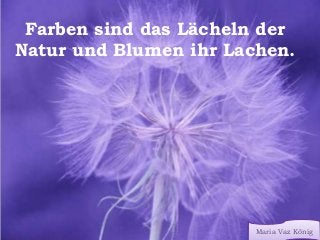 Farben sind das Lächeln der
Natur und Blumen ihr Lachen.
Maria Vaz König
 