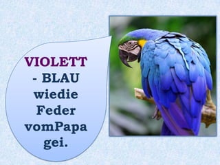 Der Baum
ist ______ .grün
 