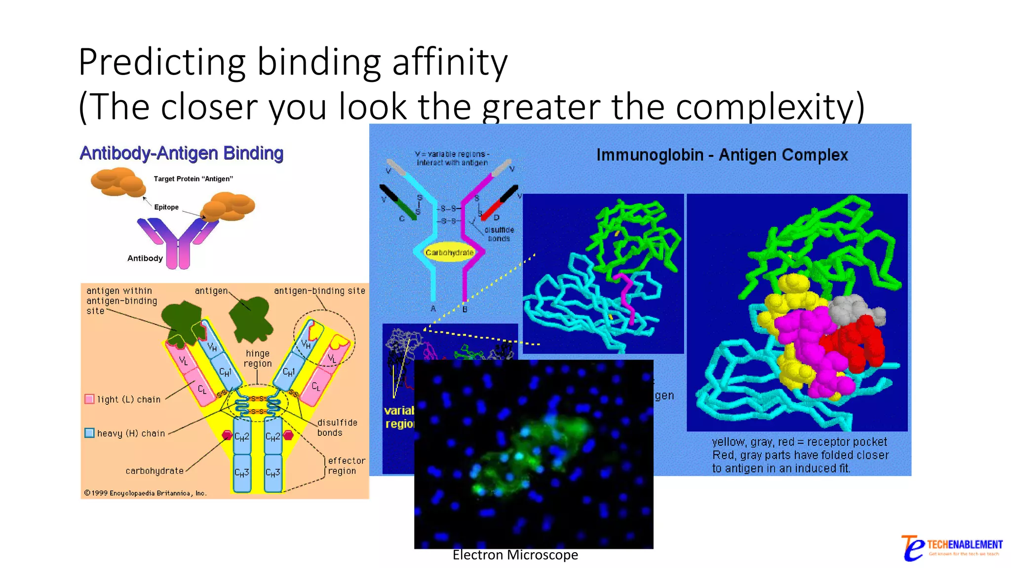 Predicting binding affinity
(The closer you look the greater the complexity)
Electron Microscope
 