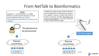From	NetTalk to	Bioinformatics
Internal	
connections
The	phoneme	to	
be	pronounced
NetTalk
Sejnowski,	T.	J.	and	Rosenberg,	C.	R.	(1986)	
NETtalk:	a	parallel	network	that	learns	to	read	
aloud,	Cognitive	Science,	14,	179-211	
http://en.wikipedia.org/wiki/NETtalk_(artificial_neural
_network)
Internal	
connections
t te X A TC G T
"Applications	of	Neural	Net	and	Other	Machine	
Learning	Algorithms	to	DNA	Sequence	Analysis",	
A.S.	Lapedes,	C.	Barnes,	C.	Burks,	R.M.	Farber,	K.	
Sirotkin,	Computers	and	DNA,	SFI	Studies	in	the	
Sciences	of	Complexity,	vol.	VII,	Eds.	G.	Bell	and	
T.	Marr,	Addison-Wesley,	(1989).
T|F	Exon	region
 
