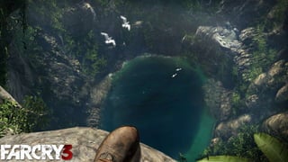 Far cry3