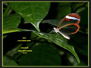 texto paulo roberto gaefke formatação [email_address] 26-06-06 